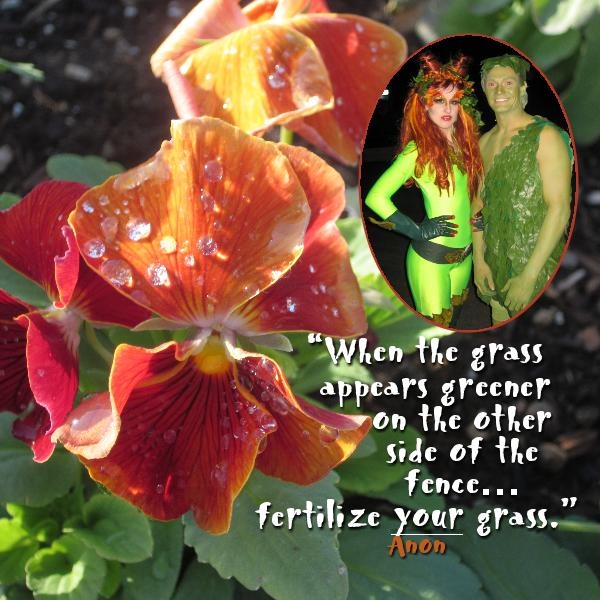girlpowerpansy01-p027