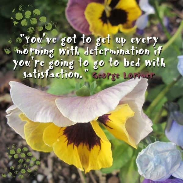 girlpowerpansy02-p0011
