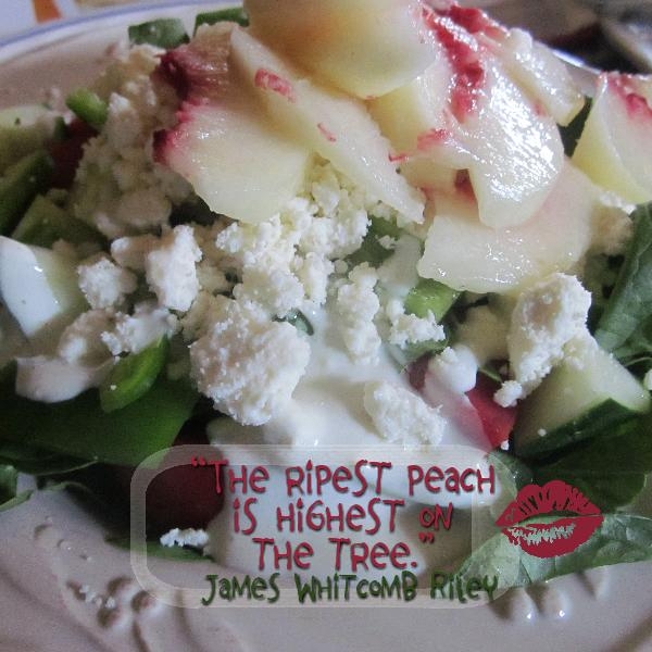 cookbook-salads01-p003