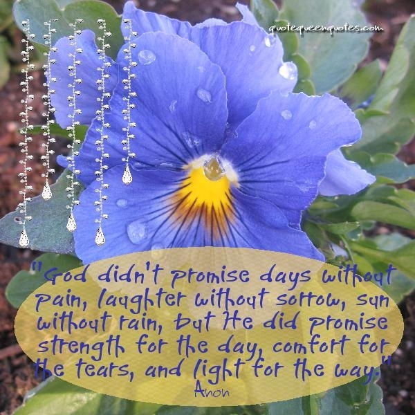 heal06-p016